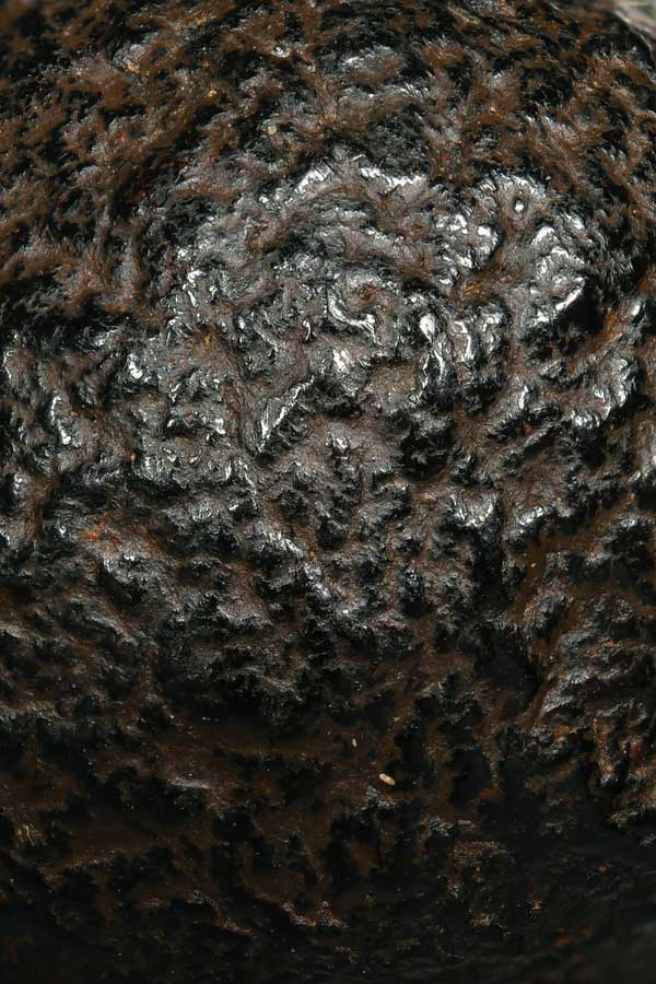 ลูกอมชากหมากล้วน ลป.ทอง วัดราชโยธา