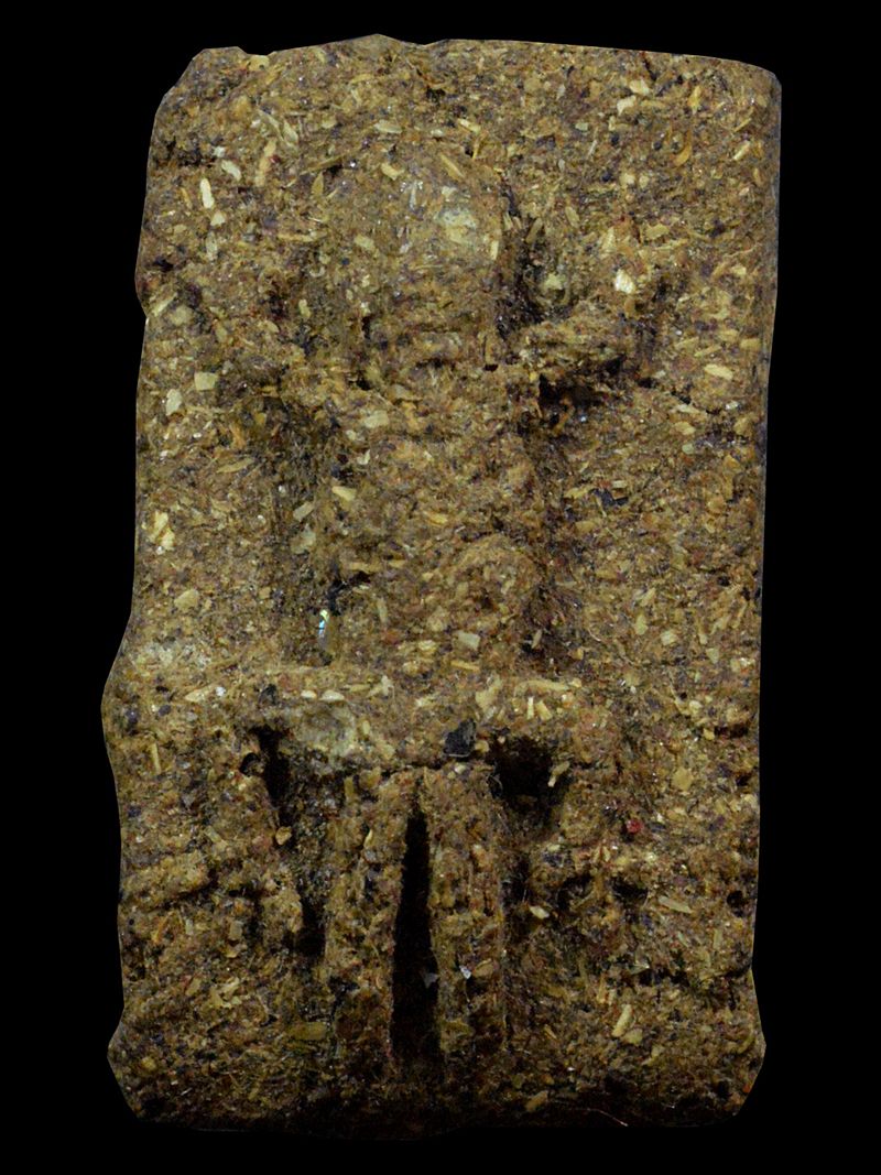 จิ้งจกสองหางมหาเสน่ห์เนื้อว่านยาครูบาต๋า