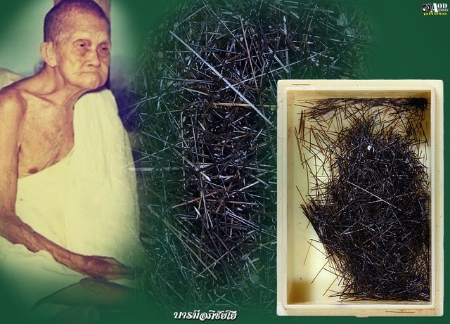 เส้นเกศาครูบาเจ้าอภิชัย(ขาวปี)