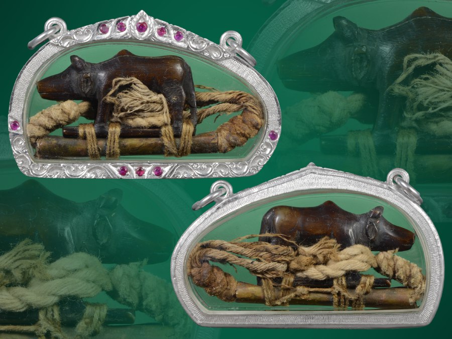 วัวธนูล้านนา เมืองแพร่