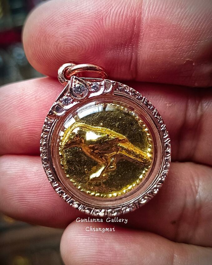 ยาสาริกาลิ้นคำ สำนักวัดทุ่งโป่งเมืองปาย