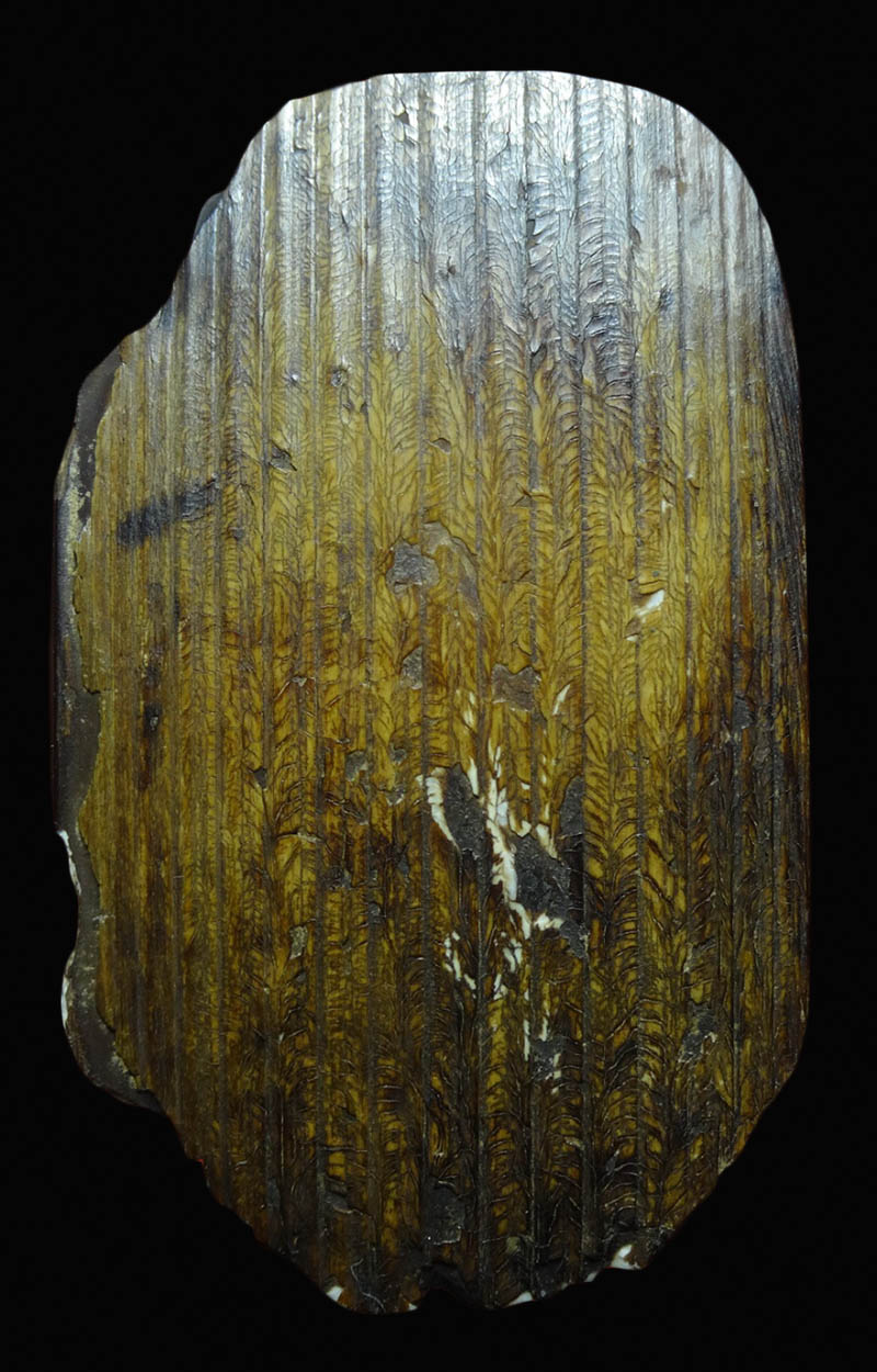 งากระเด็นแกะพระราหูล้านนา ศิลป์ช่างหลวง 