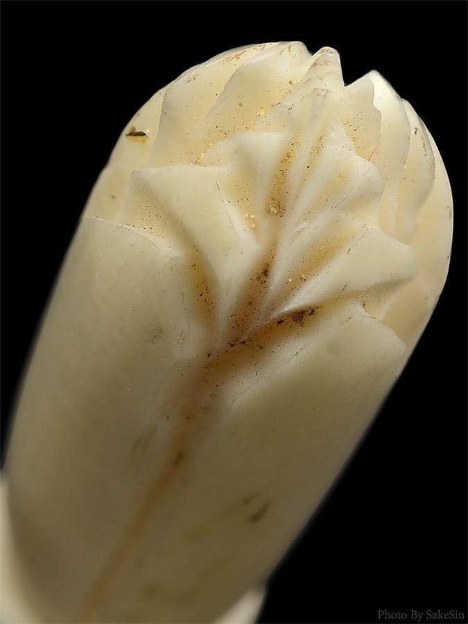 ดอกจำปีงาแกะ หลวงพ่อสด