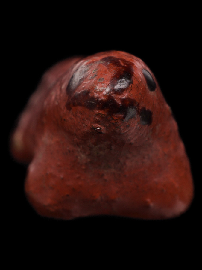 ยาเจิ้งเรือนคำ(จิ้งจก) ยาปิยะเก่า