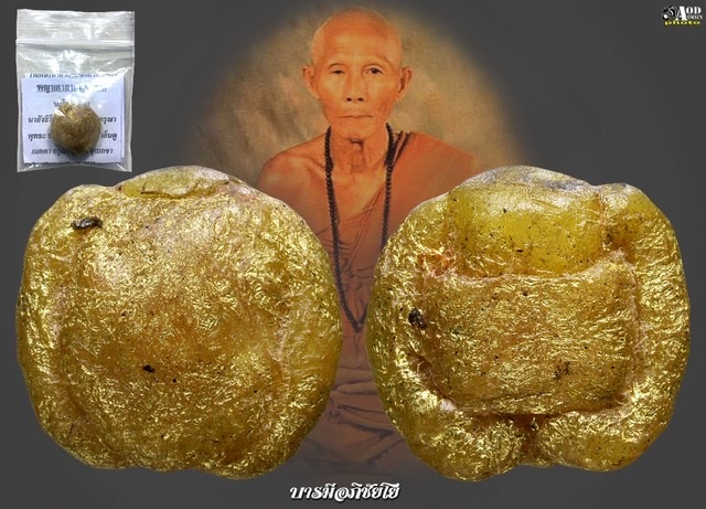 เต่าเทียนมหาลาภ ครูบาวงษ์