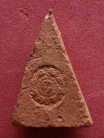 พระนางพญาหลังกงจักร ลพ.ดาบส สุมโน