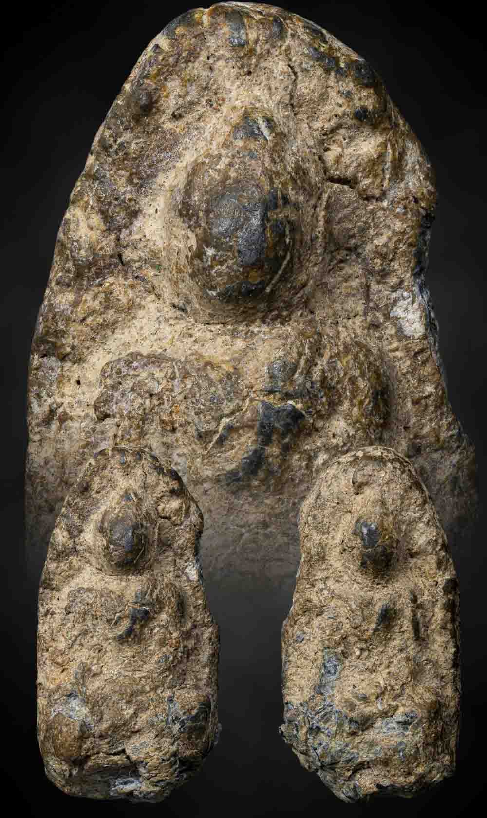 พระรอดสองหน้ากรุพะเยา