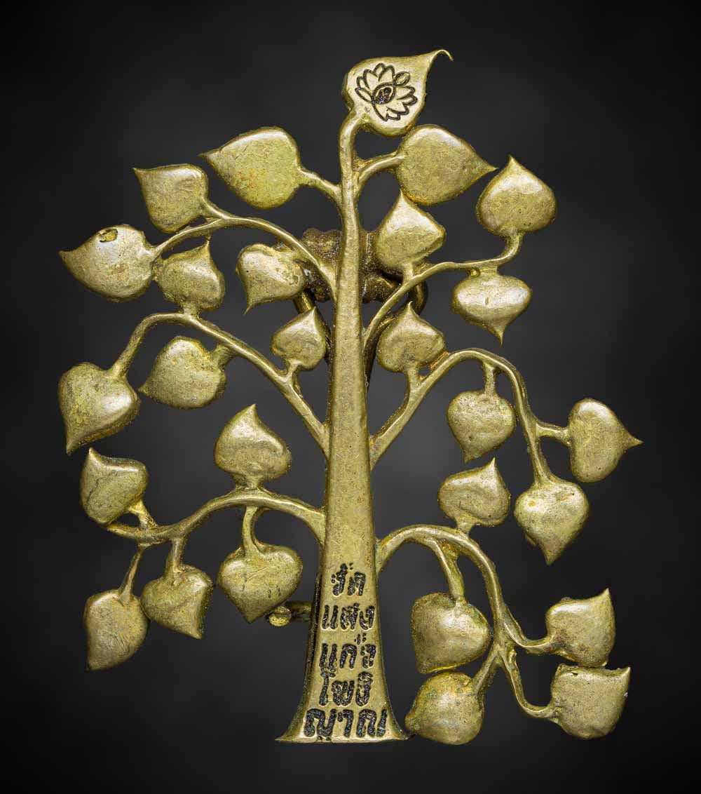 เครื่องแปลกหายาก