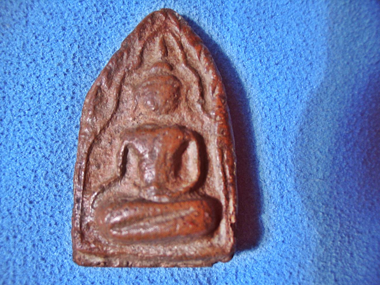 พลายคู่ตัดเดี่ยว