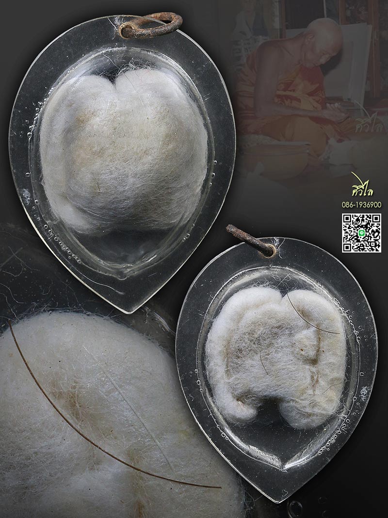 เต่าสำลีครูบาชัยวงค์ วัดพระพุทธบาทห้วยต้ม  เลี่ยมเดิม