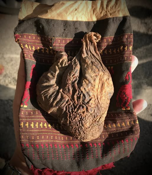 ปุ๋มหมี(กระเพาะหมี)ของดีในตำนาน