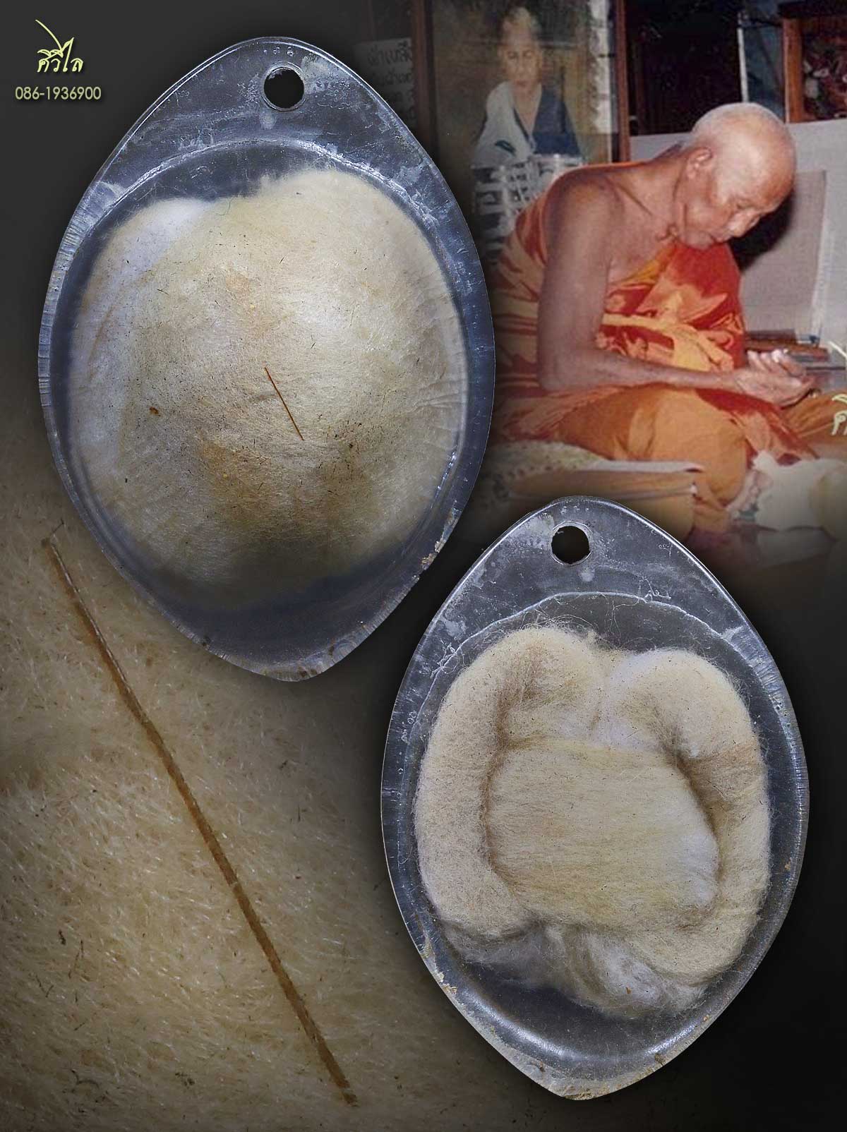 เต่าสำลีครูบาชัยวงค์ วัดพระบาทห้วยต้ม” เลี่ยมเดิมจากวัด/2