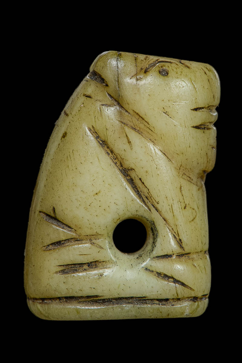 เสือหลวงพ่อสาย ศิลป์ ลพ.นก