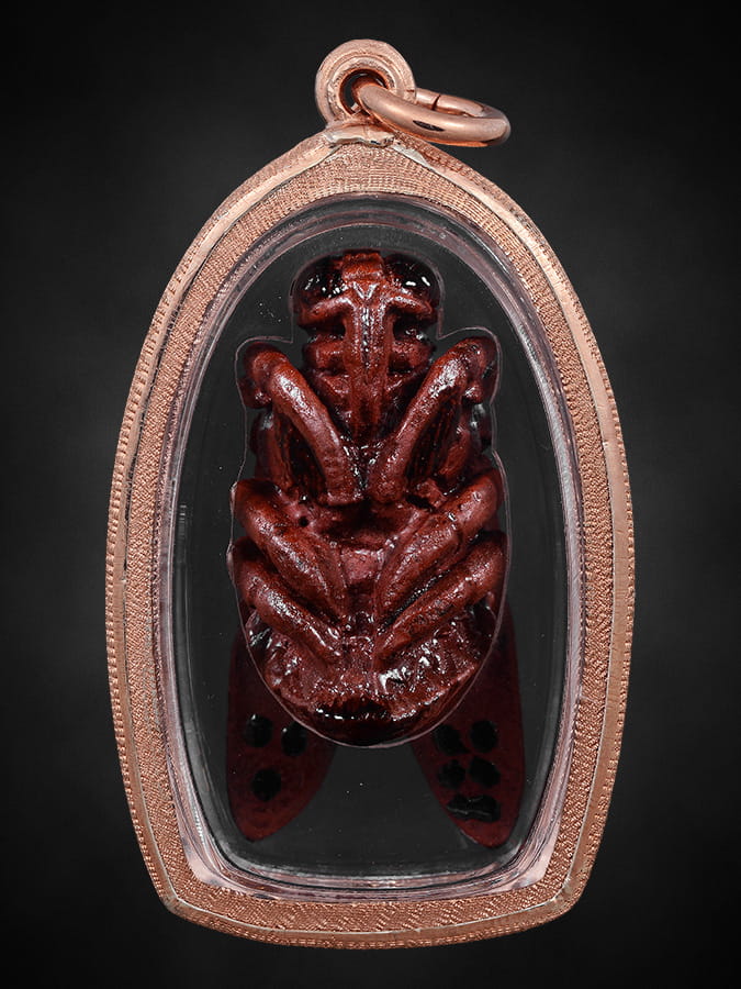 แมลงภู่คำไทยใหญ่(ตัวผู้)ไม้ดุมล้อ