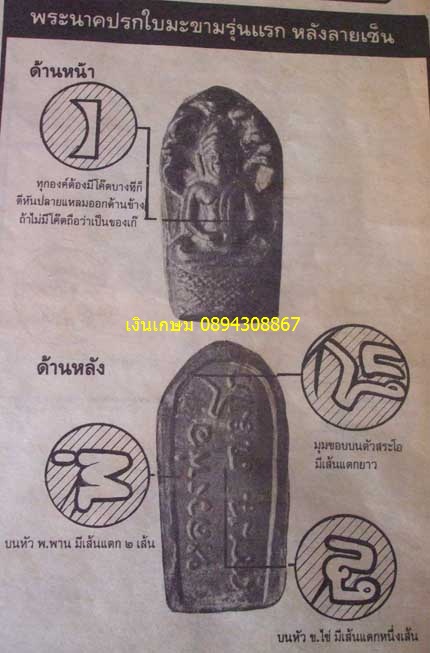 ปรกเนื้อทอง ปี2517 