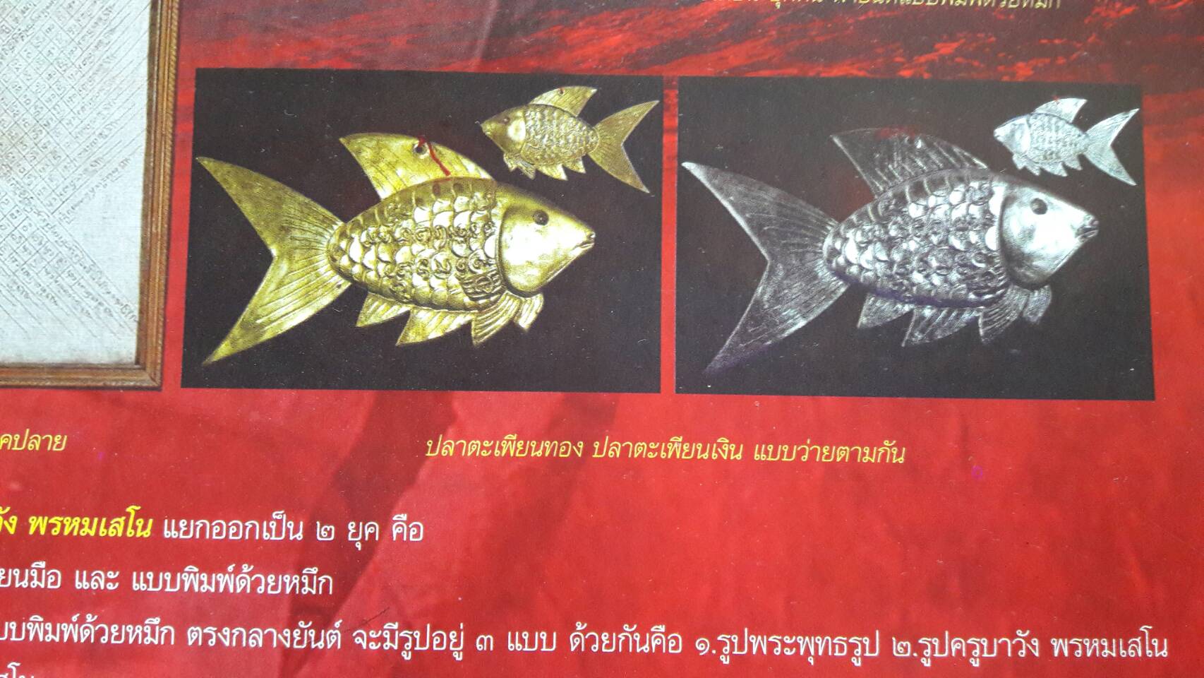 ปลาตะเพียนเงิน-ทอง ครูบาวัง พรหมเสโน 