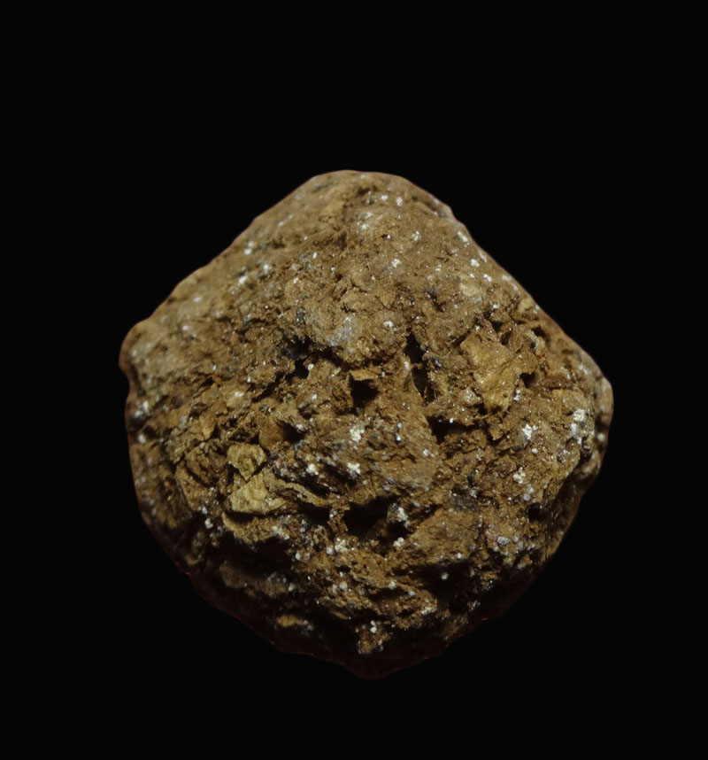 ลูกอมชานหมาก หลวงปู่ทิม วัดพระขาว