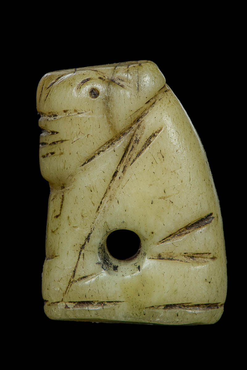 เสือหลวงพ่อสาย ศิลป์ ลพ.นก