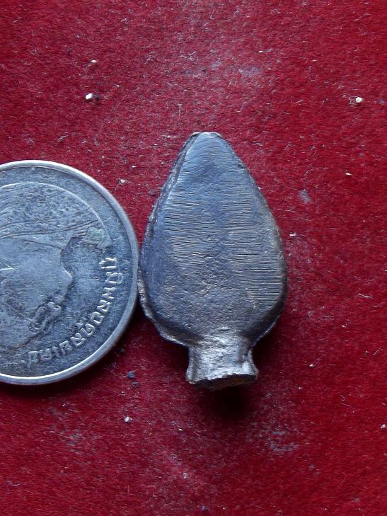 กลีบบัวหล่อปิด 200