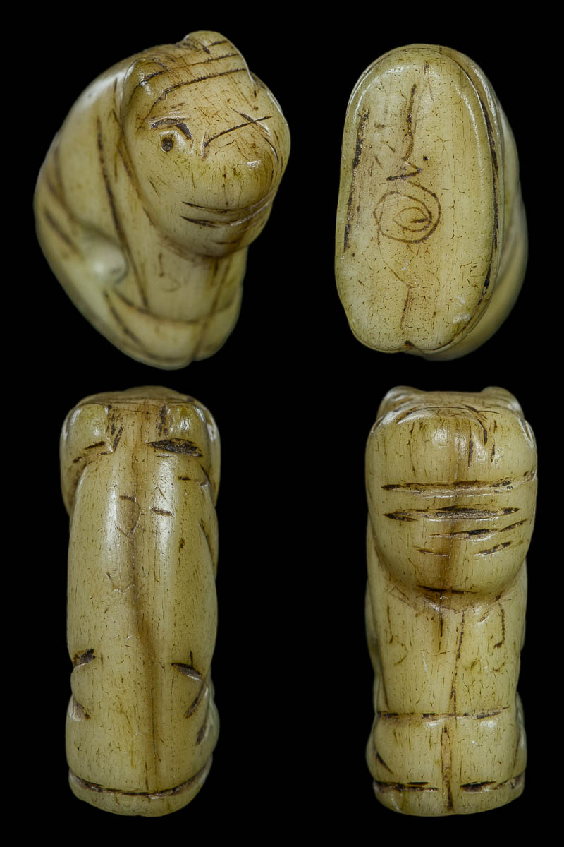 เสือหลวงพ่อสาย ศิลป์ ลพ.นก