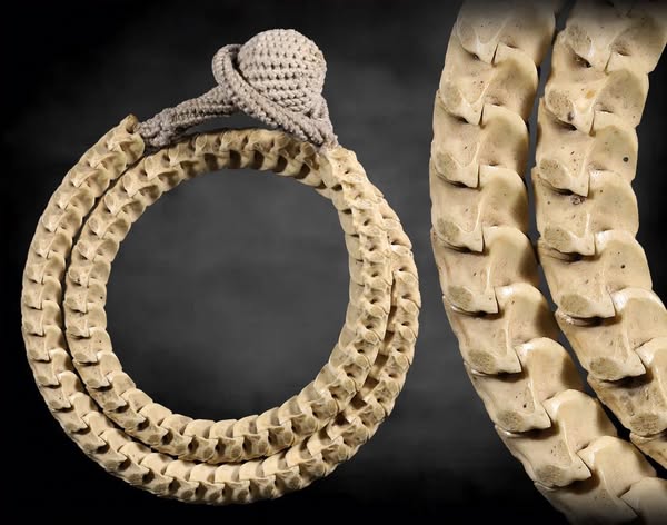 สร้อยกระดูกงูอาจารย์เบสเมืองฝาง