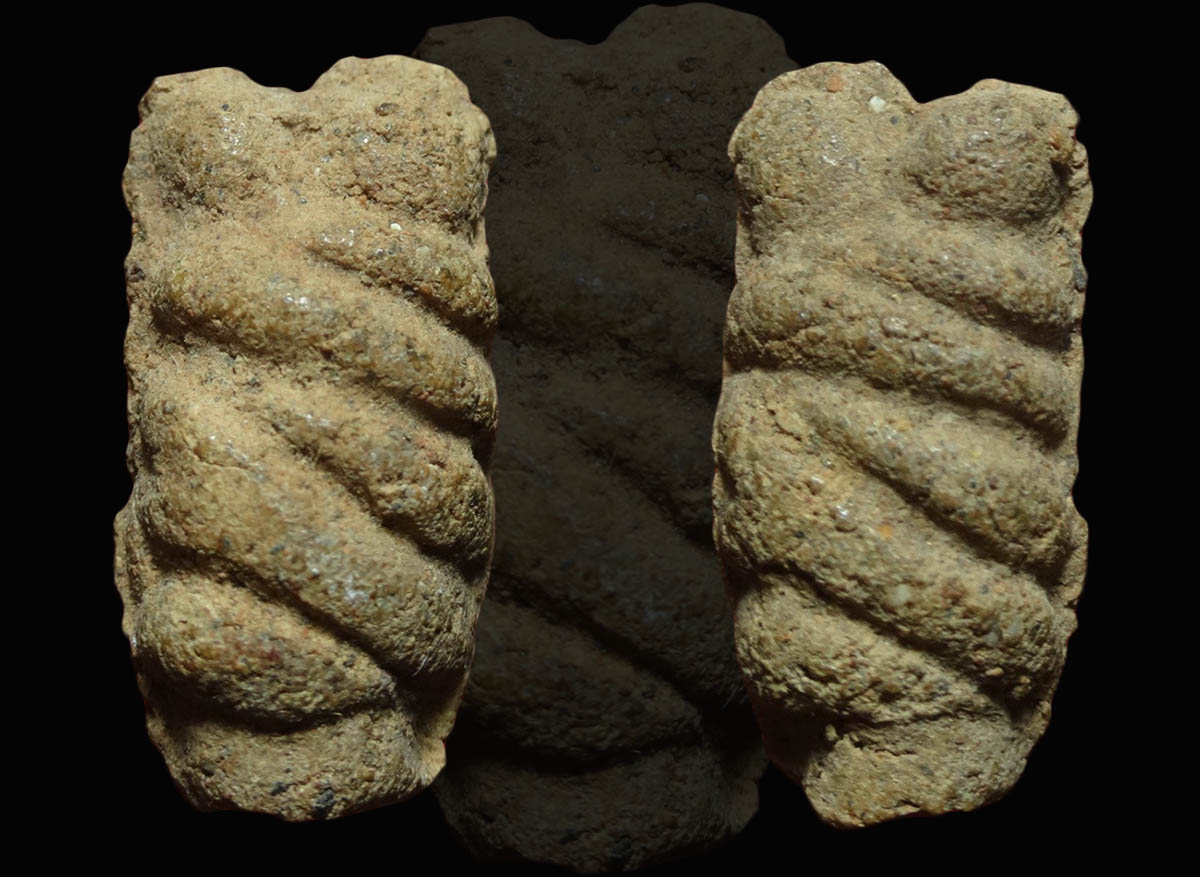 อิ่น ล้านนา