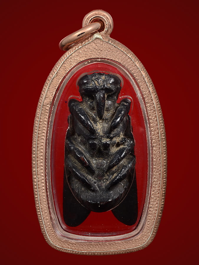 แมลงภู่คำวิเศษไทใหญ่ลงรักเก่า