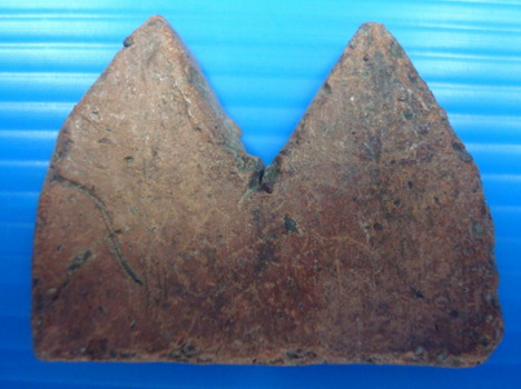 พลายคู่เนื้อจัดๆ ---- ส่องมันส์ๆ