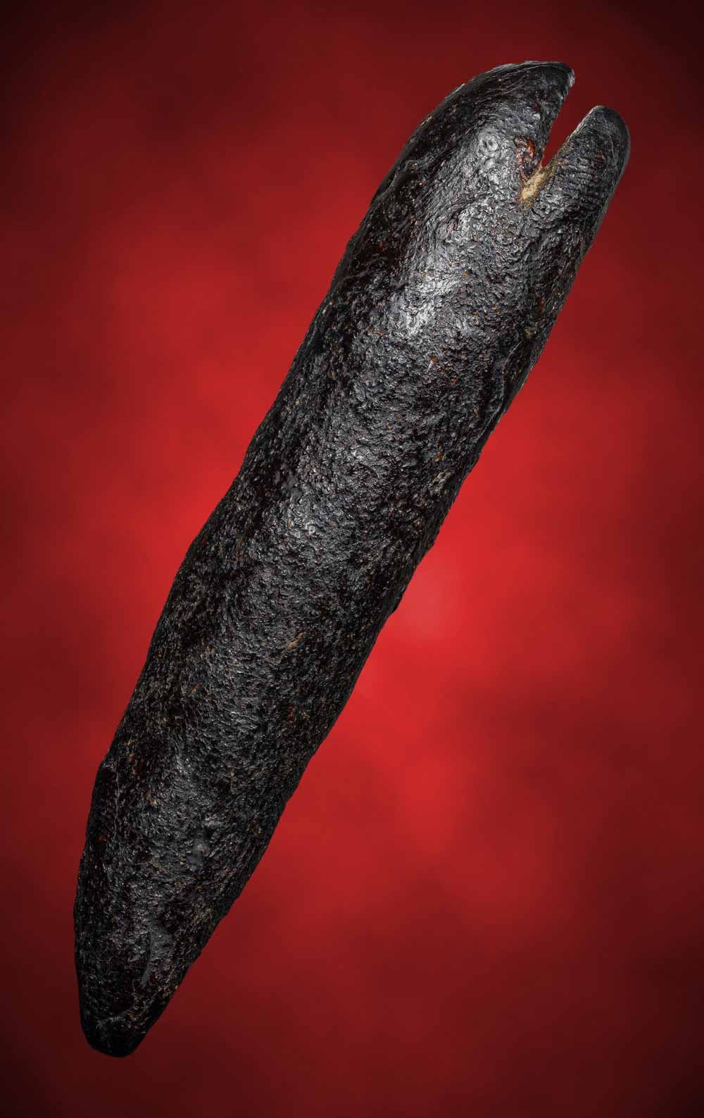 ตะกรุดจิ้งจกสองหางครูบาคำตั๋น