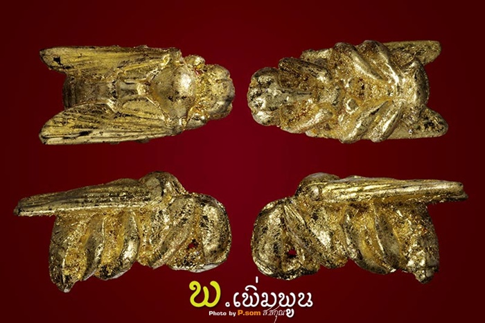 แมลงภู่คำ