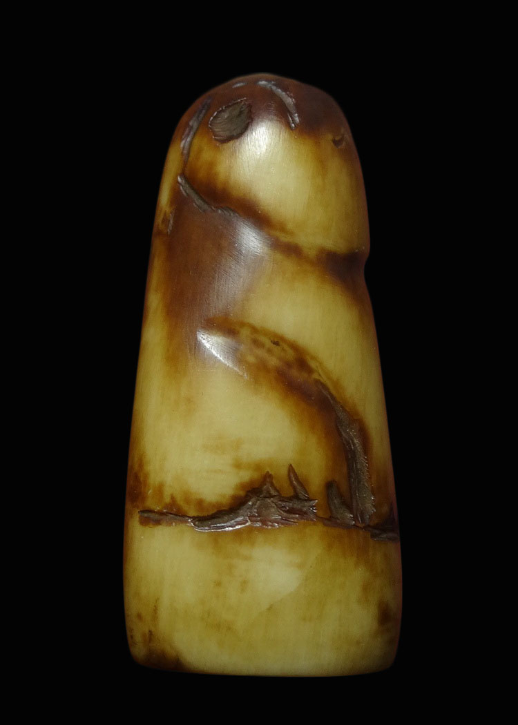 เสือสาริกา ปลายเขี้ยวเสือแกะ