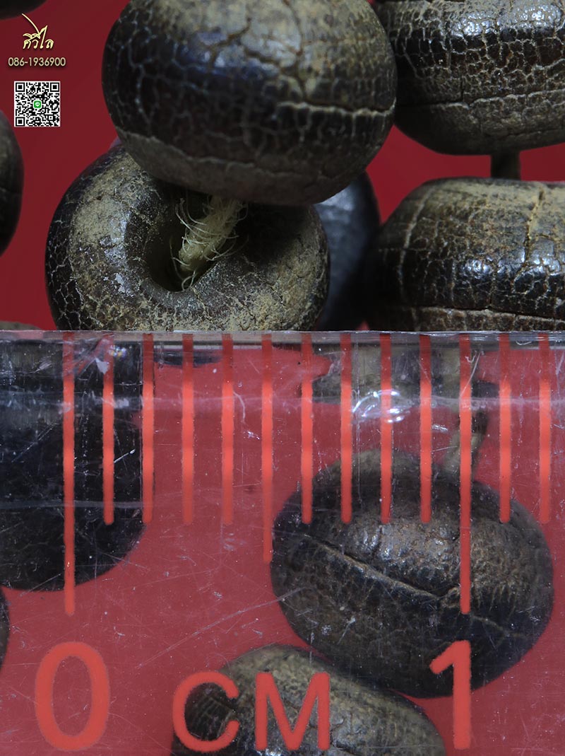 ประคำหวายหิน หลวงปู่ครูบาชัยวงศ์ วัดพระพุทธบาทห้วยต้ม ยุคต้นสวยเก่าจัดจ้าน สมบูรณ์ 108 เม็ด