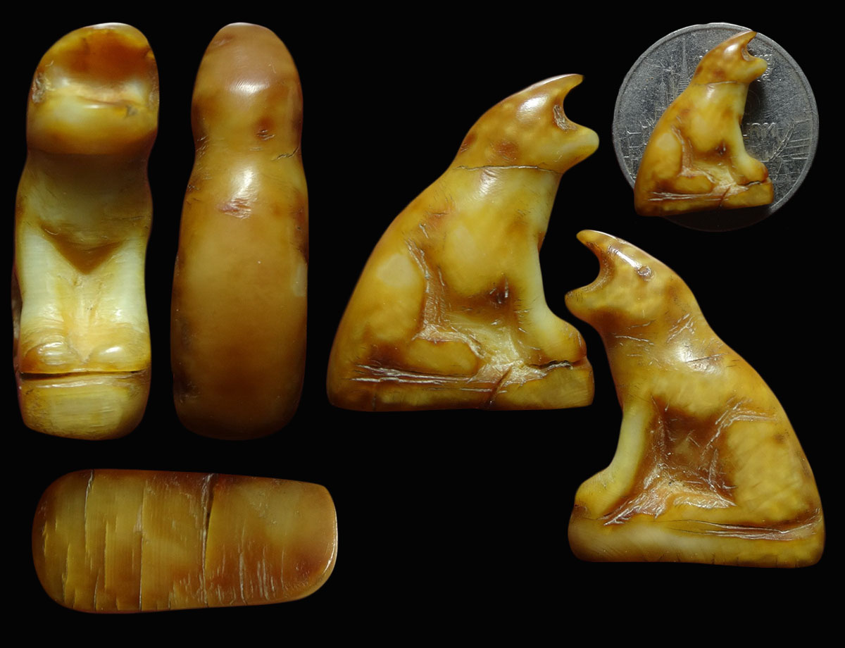 เสือโห่สาริกา งาแกะ