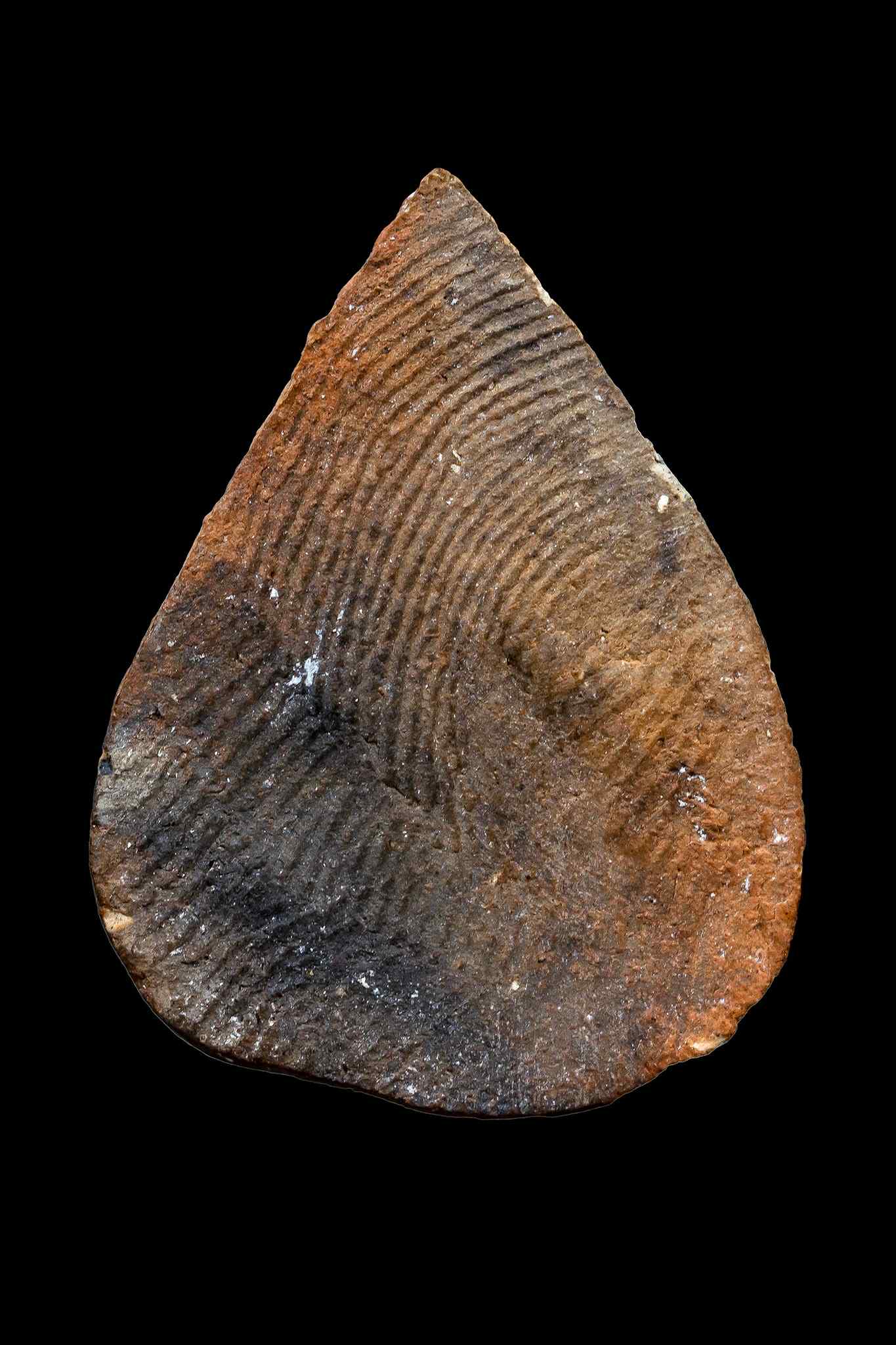 พระปิดตากลีบบัว หลวงปู่ดู่ วัดสะแก ปี 31