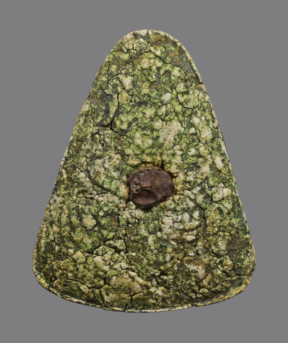 พระผงพรายรูปเหมือนหลวงปู่ทิม วัดละหารไร่