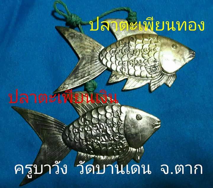 ปลาตะเพียนเงิน-ปลาตะเพียนทอง ครูบาวัง วัดบ้านเด่น จ.ตาก
