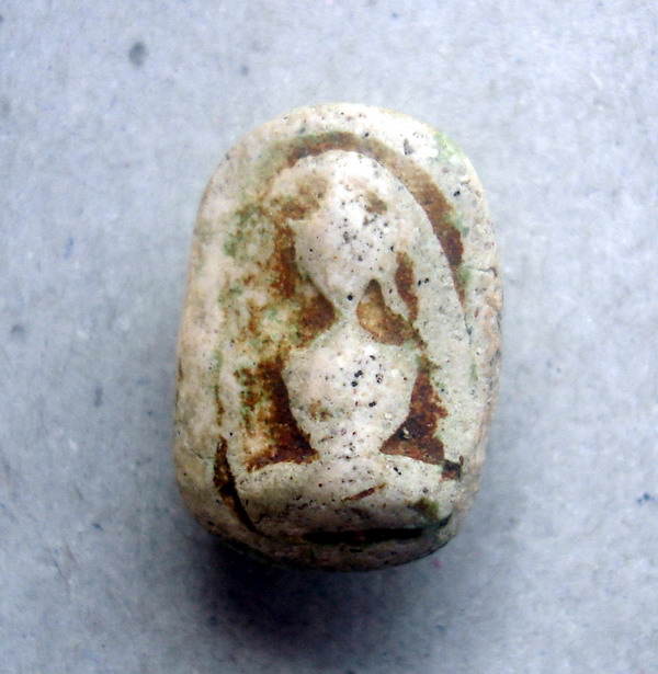 วัดพลับ เนื้อจัดๆ