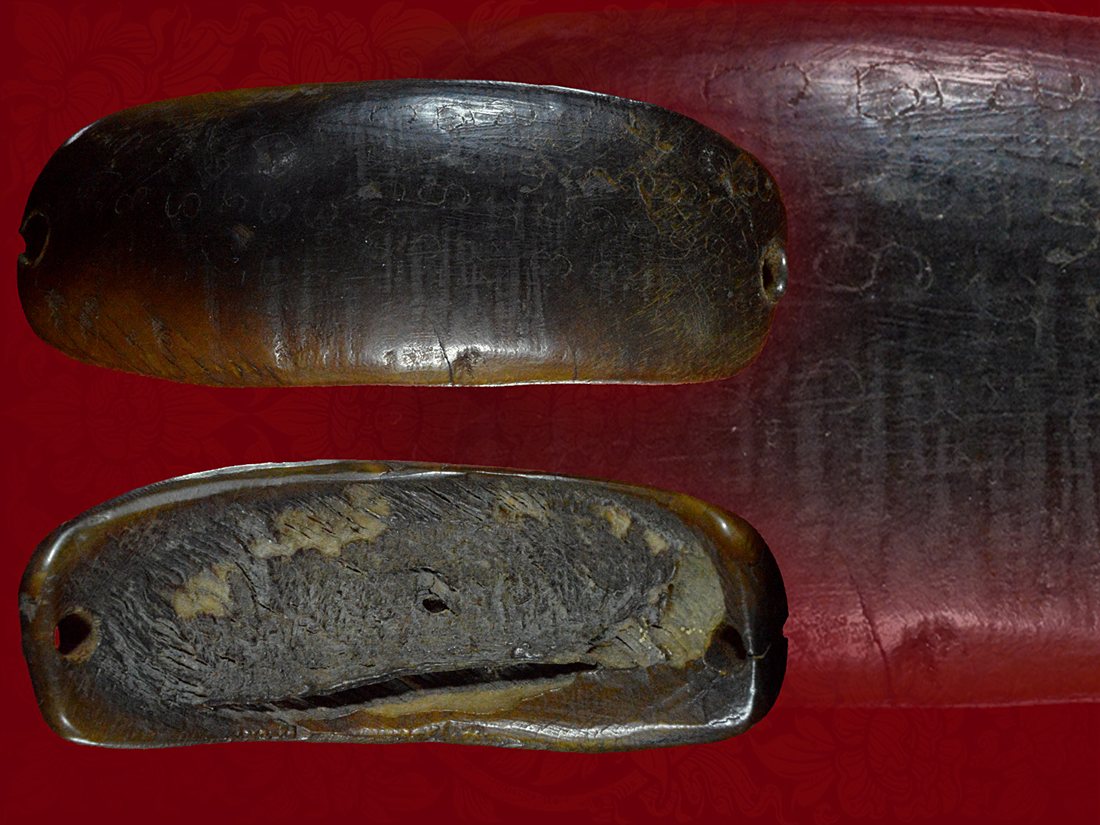 เขาควายฟ้าผ่า ทนสิทธิ์สุดวิเศษ