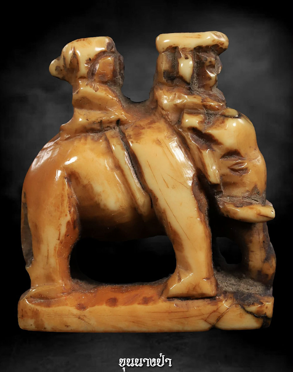 อุติ่งงาแกะโบราณ