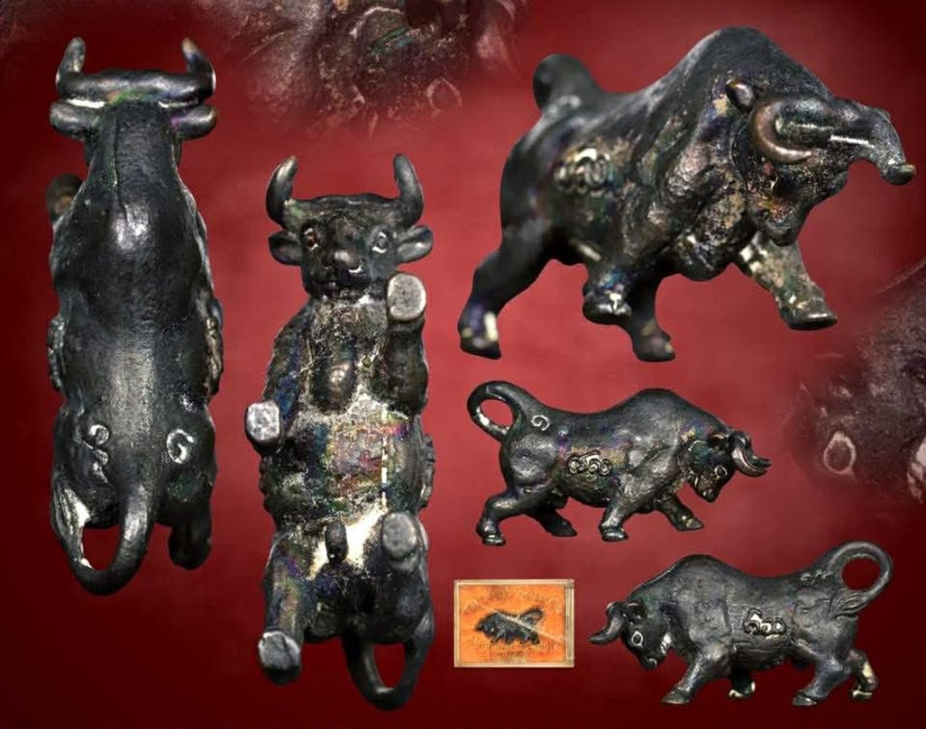 วัวธนูหลวงปู่คำแสน รุ่น 2 แชมป์ที่ 1