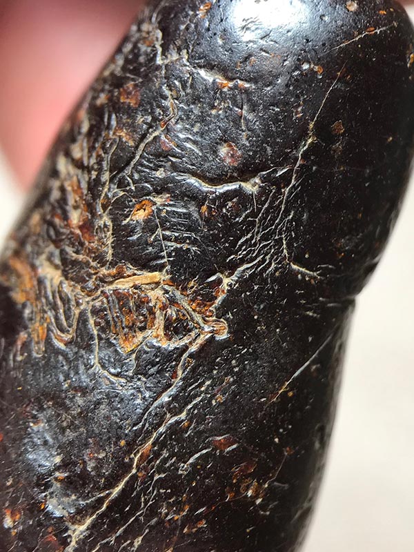 ตะกรุดพอกคลั่งหลวงพ่อทองศุขวัดโตนดหลวง