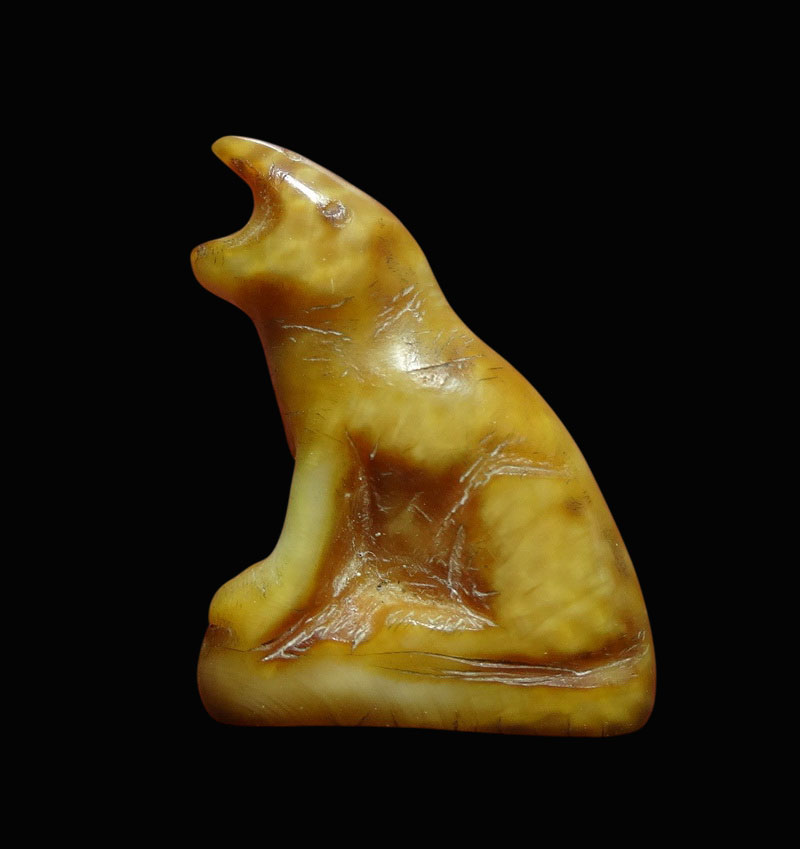 เสือโห่สาริกา งาแกะ