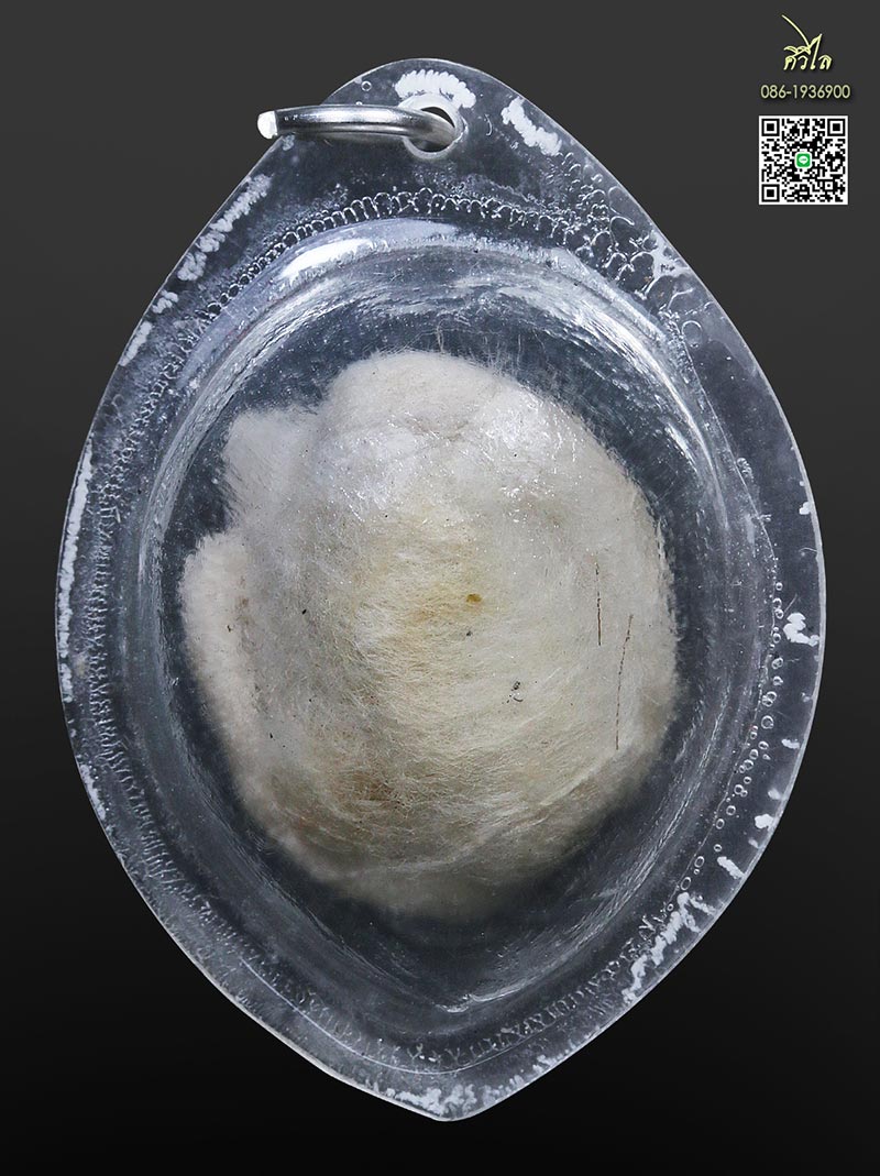 เต่าสำลีครูบาชัยวงค์ เลี่ยมเดิมจากวัด