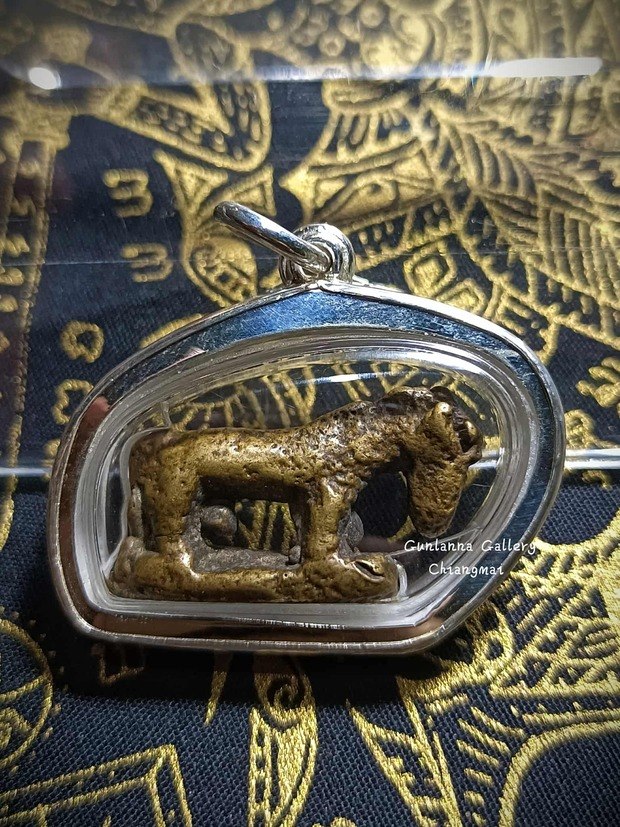 ม้าล้านนา ประจำปีมะเมีย