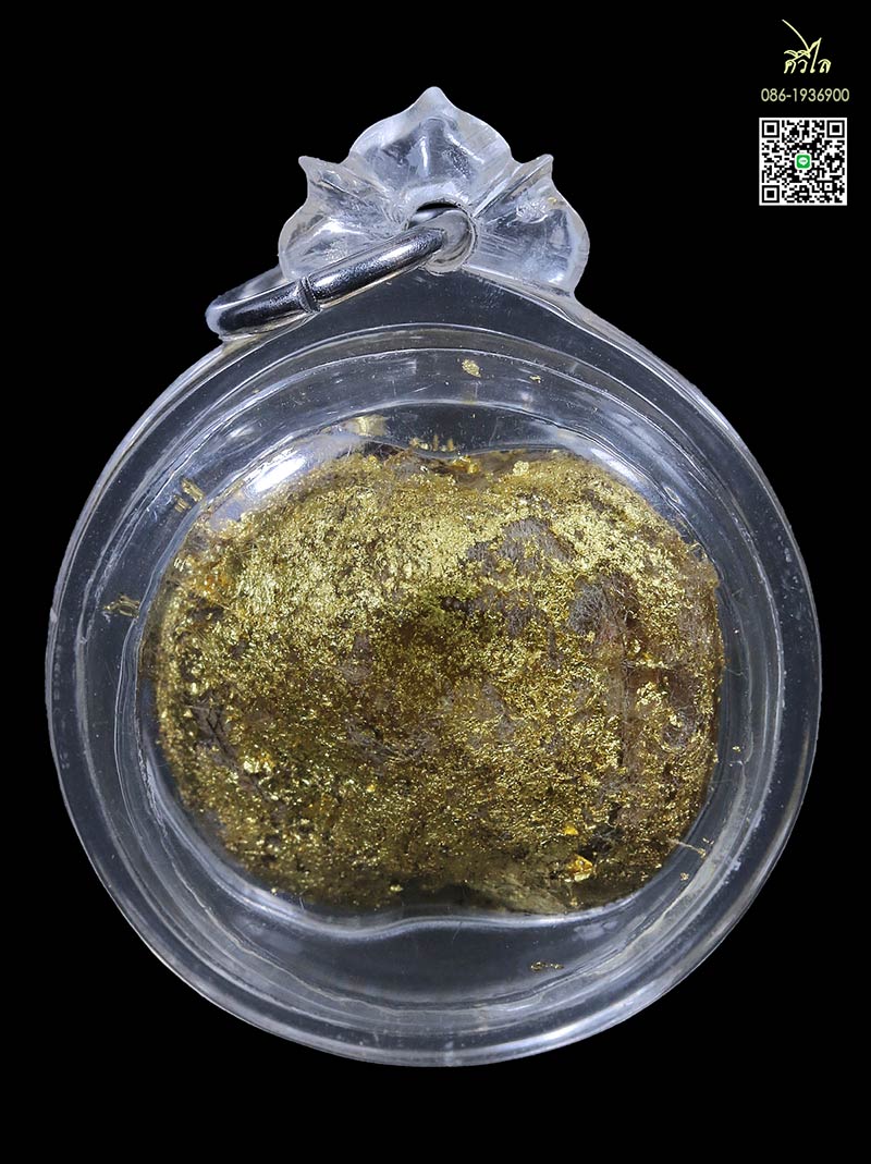 เต่าสำลีชุบสีผึ้งครูบาชัยวงค์ เห็นเกศา