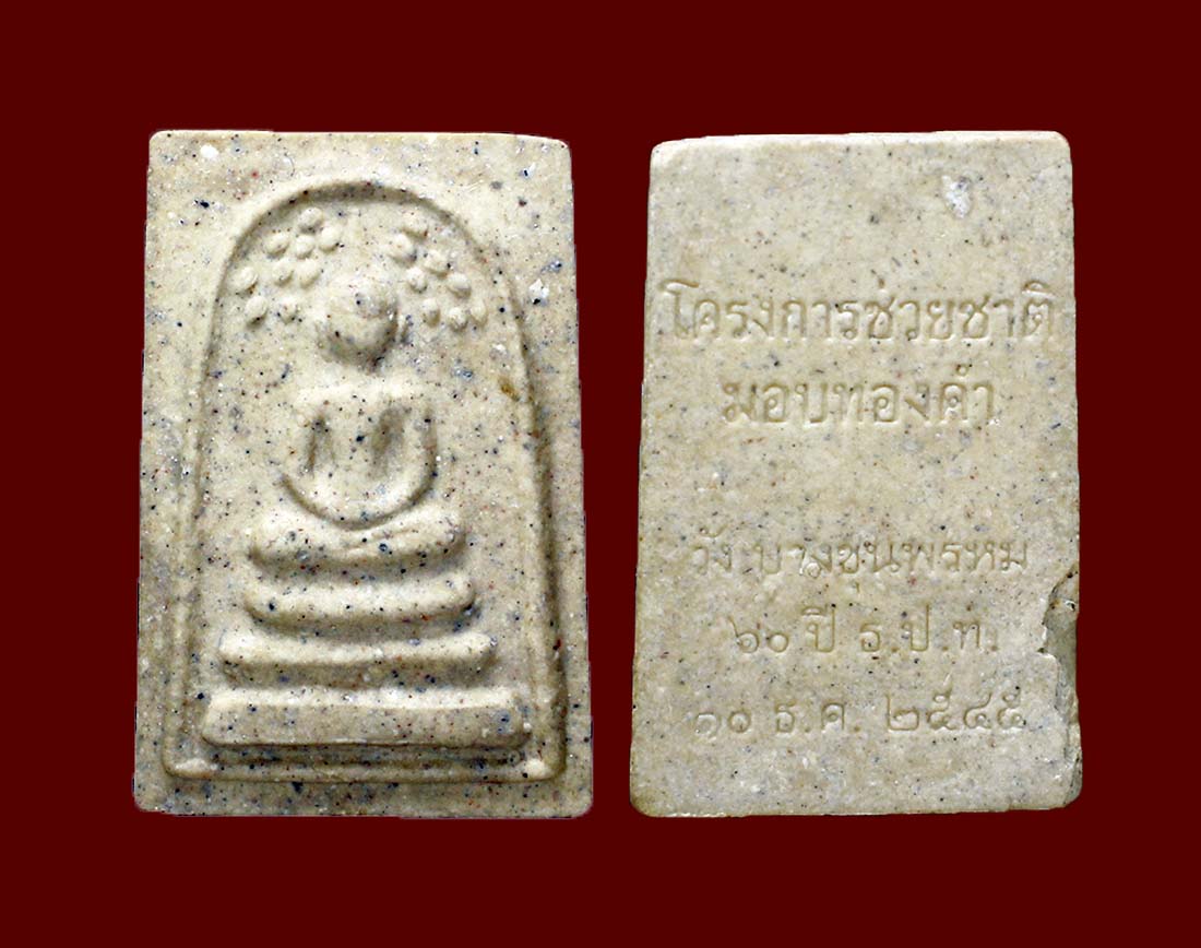 สมเด็จปรกโพธิ์ โครงการช่วยชาติ ปี 45