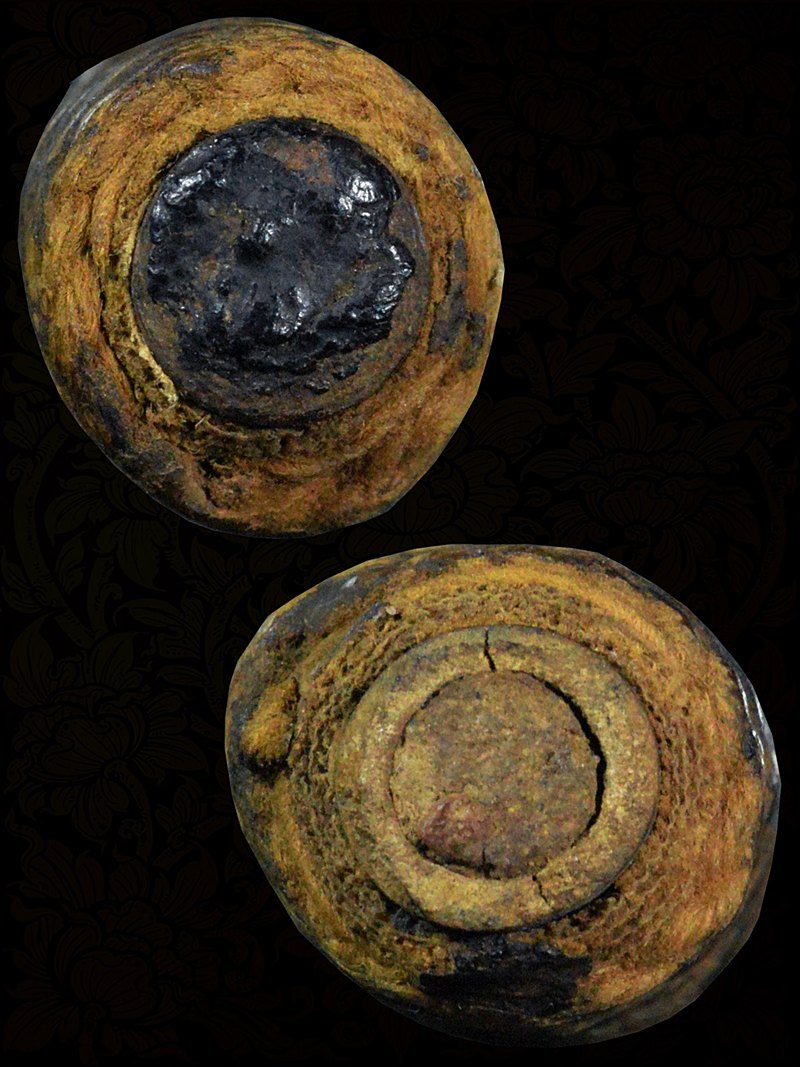 ตะกรุดไม้รวก หลวงปู่จันทร์ วัดนางหนู