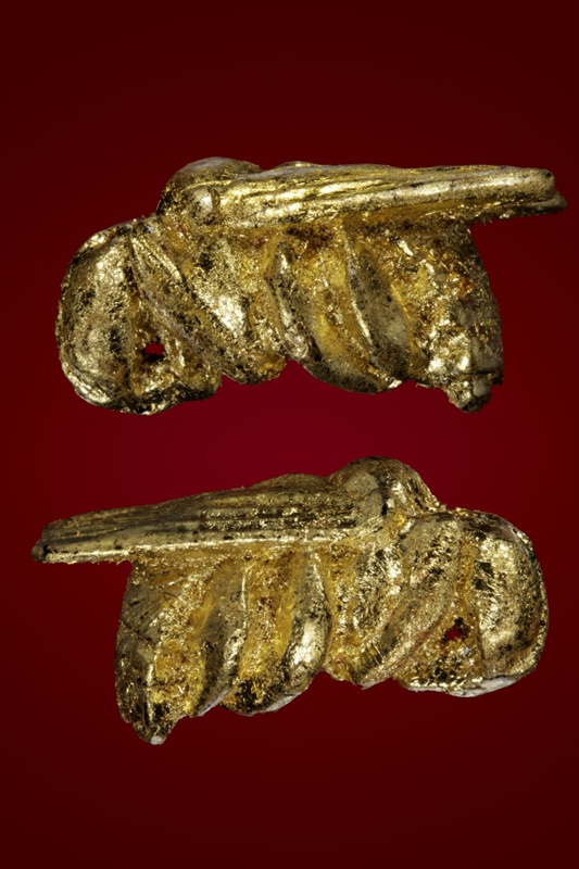 แมลงภู่คำ