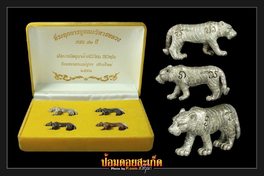 รูปหล่อเสือบารมี ครูบาเจ้าศรีวิไชย #5