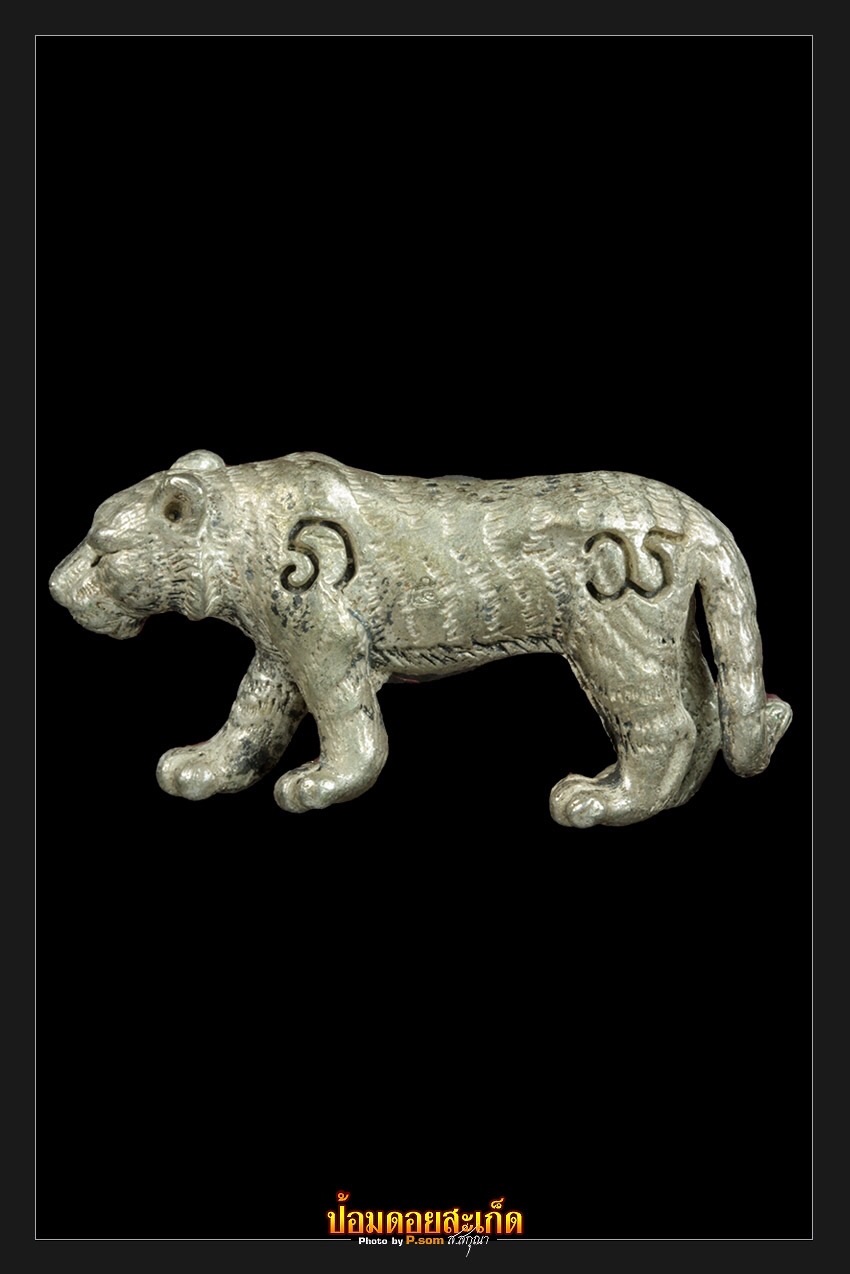 รูปหล่อเสือบารมี ครูบาเจ้าศรีวิไชย #5